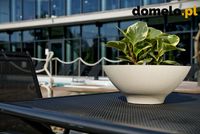 DONICZKA PLANET 290 A2