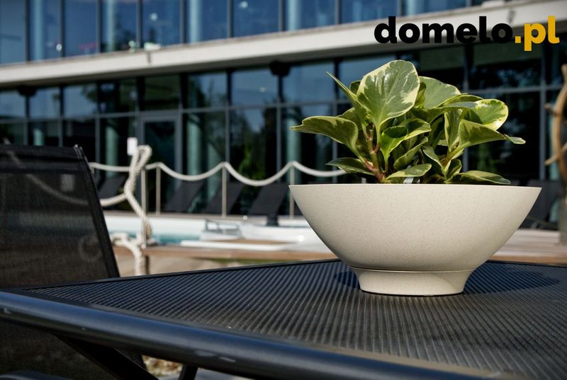 DONICZKA PLANET 290 A2 zdjęcie 1