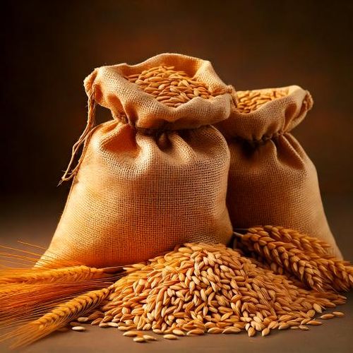 Słód Abbey Malt 40 - 50 EBC Weyermann  0,5 kg na Arena.pl