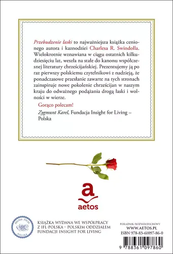 Przebudzenie łaski na Arena.pl