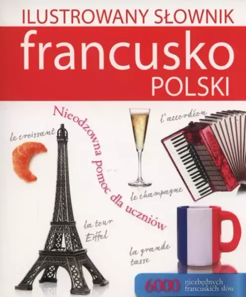 Ilustrowany słownik francusko-polski zdjęcie 1