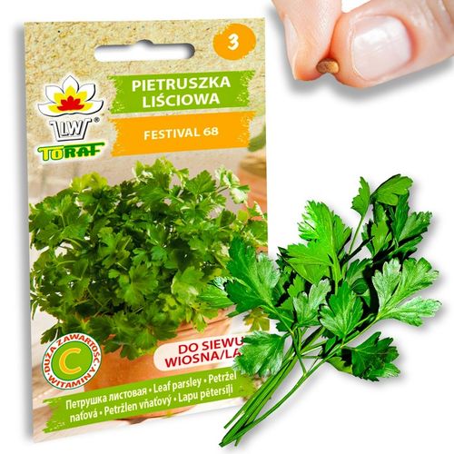 Nasiona warzyw marchew ogórek pietruszka burak NA DOBRY START UDANE PLONY na Arena.pl