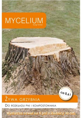 Żywa grzybnia do usuwania pni i korzeni drzew na Arena.pl