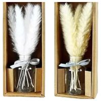 trawa pompasowa suszona dekoracja w wazonie 2szt