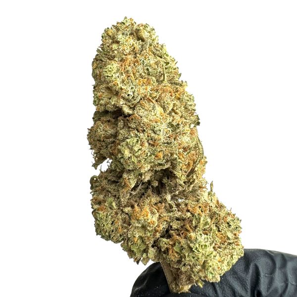 CBG Therapy Susz Konopny CBG <20% 5g zdjęcie 2