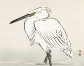 Plakat 76x60,5cm Snowy Egret, Kōno Bairei Japoński Vintage do Salonu