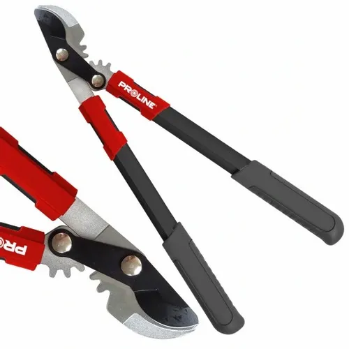 SEKATOR DWURĘCZNY NOŻYCE DO OGRODU GAŁĘZI PROLINE na Arena.pl