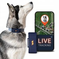 Lokalizator PAJ Pet Finder 4G – GPS dla Psów, Śledzenie, LED odprowadzanie
