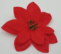 główki 12szt GWIAZDA BETLEJEMSKA 14cm AGT063