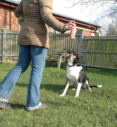 Pet Corrector 200ml na Arena.pl