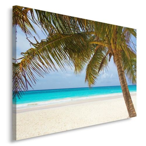 Obraz na płótnie - Canvas, Palma na plaży 40x30 na Arena.pl