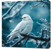 Obraz 70x70cm Perłowy Ptak