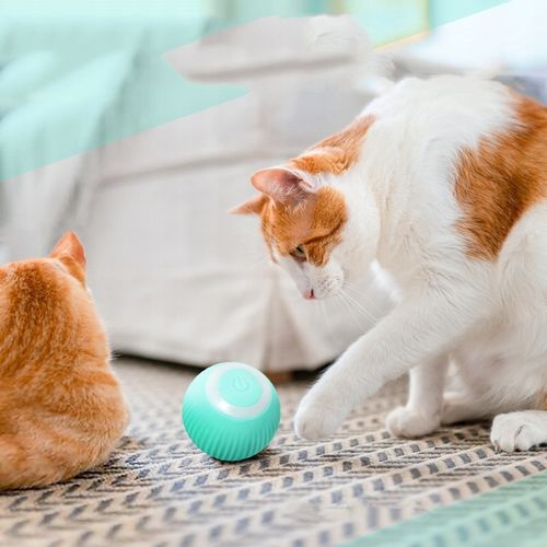 INTERAKTYWNA UCIEKAJĄCA PIŁKA DLA KOTA PSA ZABAWKA ELEKTRYCZNA NIEBIESKA na Arena.pl
