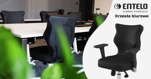 Perto Poler Falcone 34 na Arena.pl