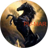 Opłatek na tort KONIE Koń Mustang Konik Kuc Urodziny Tekst Gratis