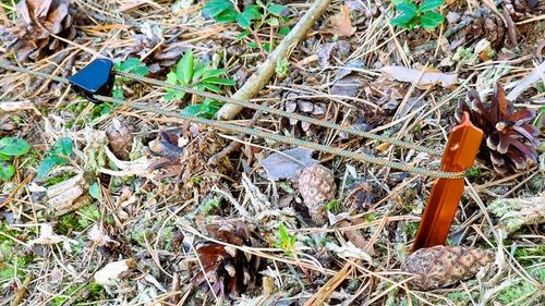 Płachta biwakowa BUSHMEN EASY Tarp 3×3m na Arena.pl