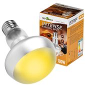 Repti-Zoo Intense Basking Spot 100W - żarówka grzewcza
