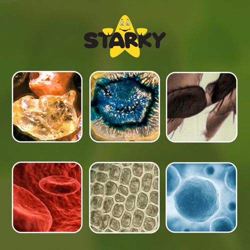 Mikroskop mini kieszonkowy przenośny zabawka edukacyjna dla dzieci prezent na Arena.pl