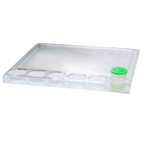 MASTERKIDZ Kwadratowa Taca do Malowania na Arena.pl