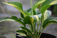 product-compare-56922262