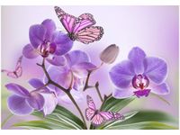 product-compare-58710822