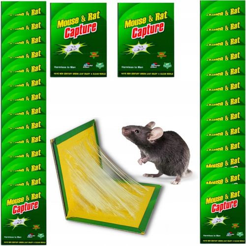 LEP NA MYSZY SILNA PUŁAPKA NA SZCZURY GRYZONIE MYSZOŁAPKA KLEJ ŁAPKA na Arena.pl