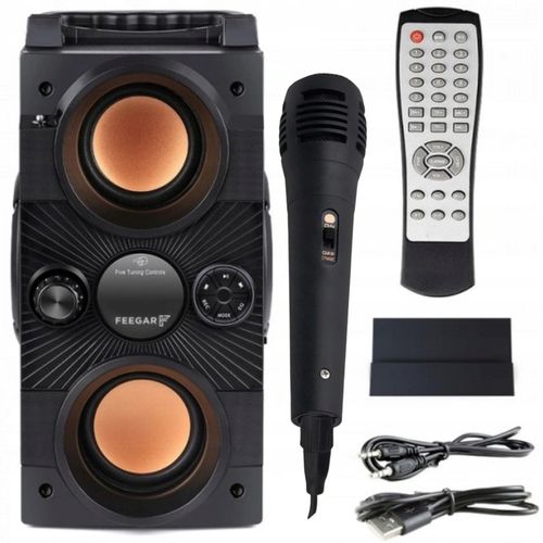 Głośnik przenośny Feegar DANCE czarny 30 W bluetooth na Arena.pl