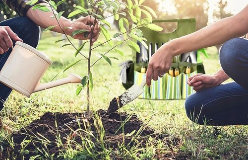Narzedzia Ogrodowe Zestaw Dla Ogrodnika Dzialkowca Idealne na Arena.pl