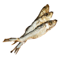 SZPROTKI SUSZONE 150g komplet