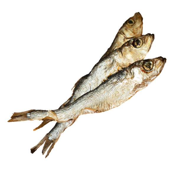 SZPROTKI SUSZONE 150g komplet zdjęcie 1