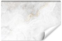 Fototapeta Ścienna Abstrakcja MARMUR Styl Glamour Kamień 315cm x 210cm