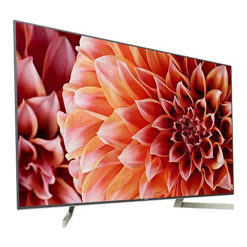 Telewizor SONY KD-65XF9005 na Arena.pl