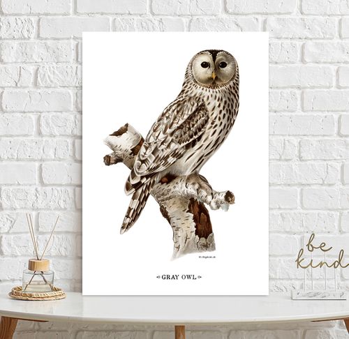 Plakat sowa vintage 30x40 cm na Arena.pl