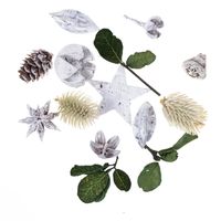 SUSZONE OWOCE I LIŚCIE DEKORACYJNE 20 G DPZA-109 DP CRAFT