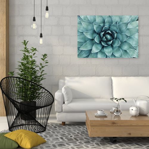 Obraz na płótnie – Canvas, niebieski aloes 60x40 na Arena.pl