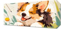 Obraz 40x20cm Beztroski Corgi
