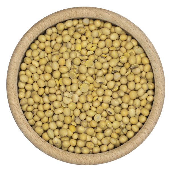 Soja ziarno 1kg zdjęcie 2