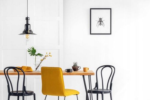 Farba biała do ścian i sufitów Lateksowa ŚNIEŻKA Super Latex 10L na Arena.pl