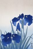 Plakat 20x30cm Iris Flowers, Koson Japoński Vintage do Salonu