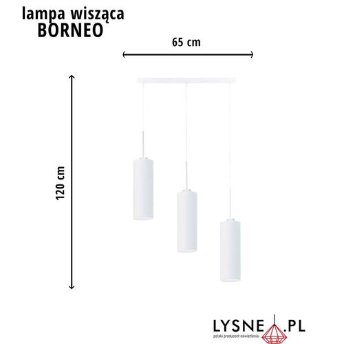 Nowoczesny zwis BORNEO na Arena.pl