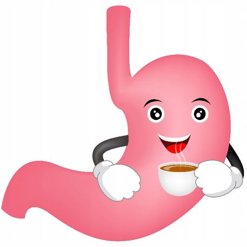 Belly Coffee - Kawa Niskodrażniąca 500g - mielona na Arena.pl