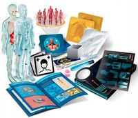 SUPER ANATOMIA DLA DZIECI NAUKOWA ZABAWA CLEMENTONI