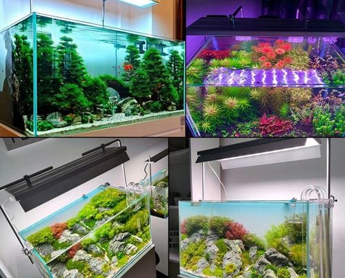 Świetlówka LED oświetlenie AKWARIUM 8520 50cm na Arena.pl