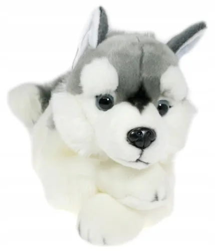 Maskotka piesek 60 cm Dubi 2 lata + na Arena.pl