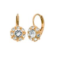 kolczyki eleganckie kwiatki (p14528au)