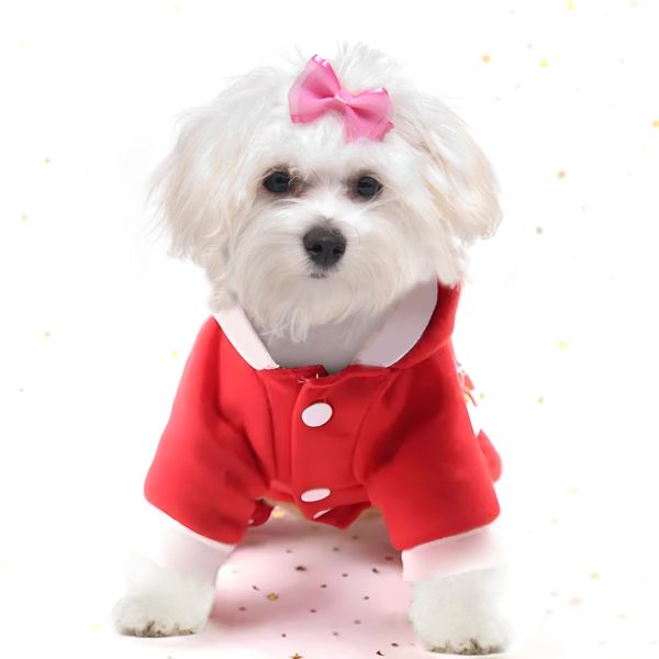 Ubranko przebranie dla psa świąteczne - XS zdjęcie 2