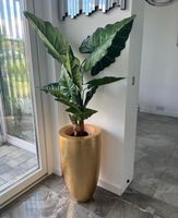 Sztuczna colocasia 120 Premium