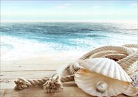 Fototapeta 3D plaża piasek widok muszle 130x80 FLI