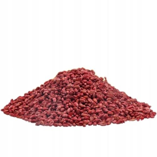 RATIMOR Trutka na myszy i szczury zbożowa Zatrute ziarno Bromadiolon na Arena.pl