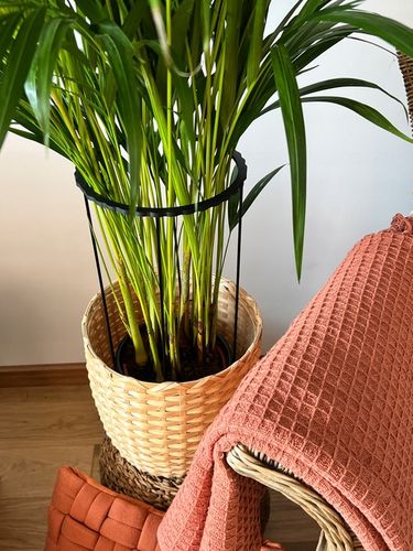 Podpora Roślin Kwiatów Obejma Pierścieniowa Obręcz Podpórka RING 2w1XL na Arena.pl